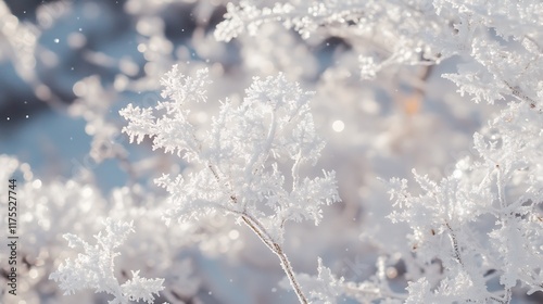 Snowflake winter wallpaper with a bright frosty background of snow-covered branches and copy space to place holiday greetings