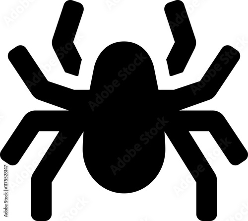 spider on vector