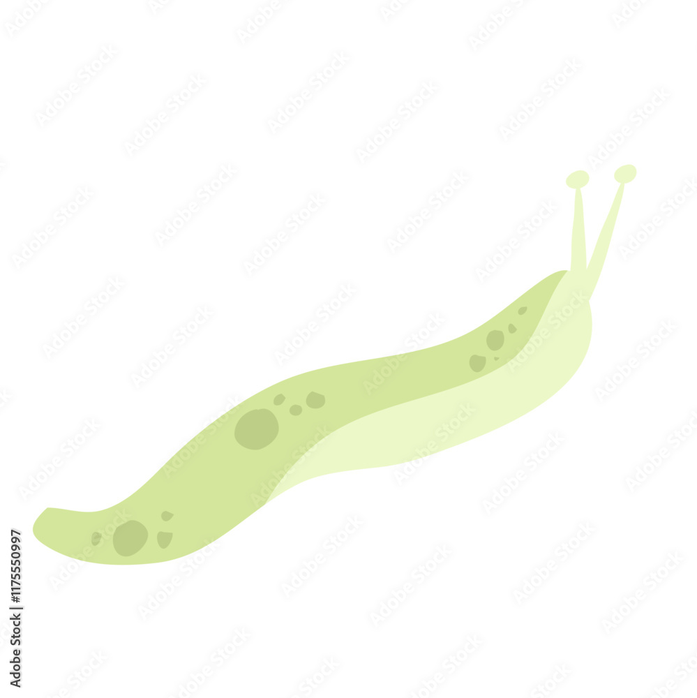 green slug cartoon animal design green slug cartoon animal design