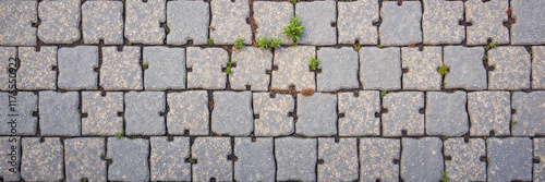 Interlocking stone pavement with grass growth and weathered texture
