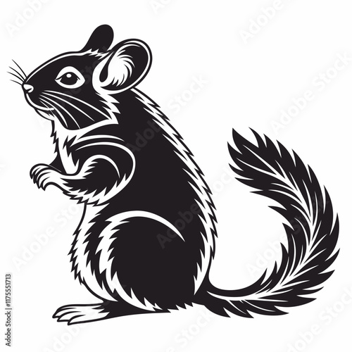 Chinchilla vector silhouette black design white background
