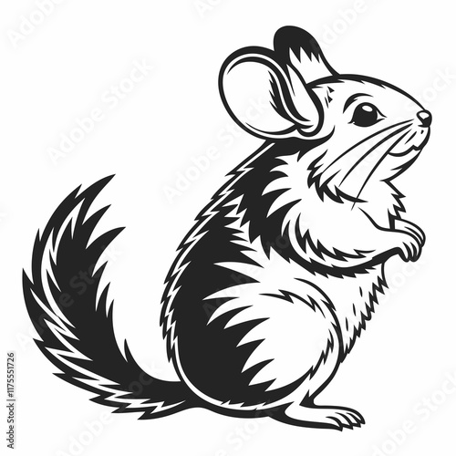 Chinchilla vector silhouette black design white background
