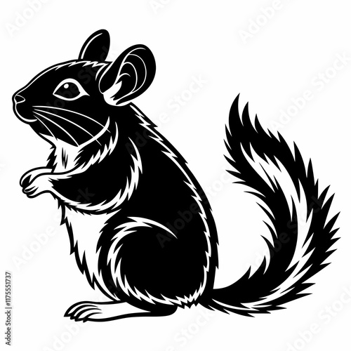 Chinchilla vector silhouette black design white background