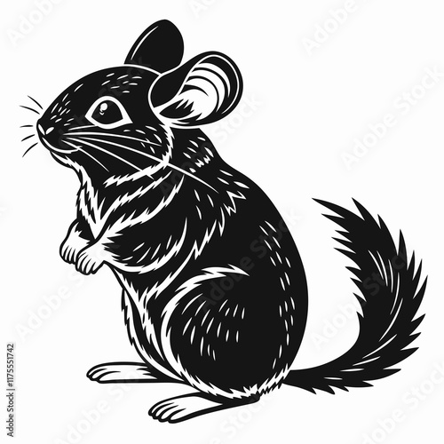 Chinchilla vector silhouette black design white background
