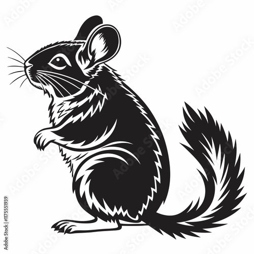 Chinchilla vector silhouette black design white background