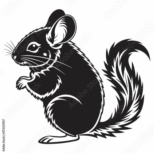 Chinchilla vector silhouette black design white background