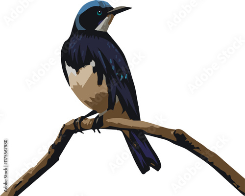 Bird on a branch