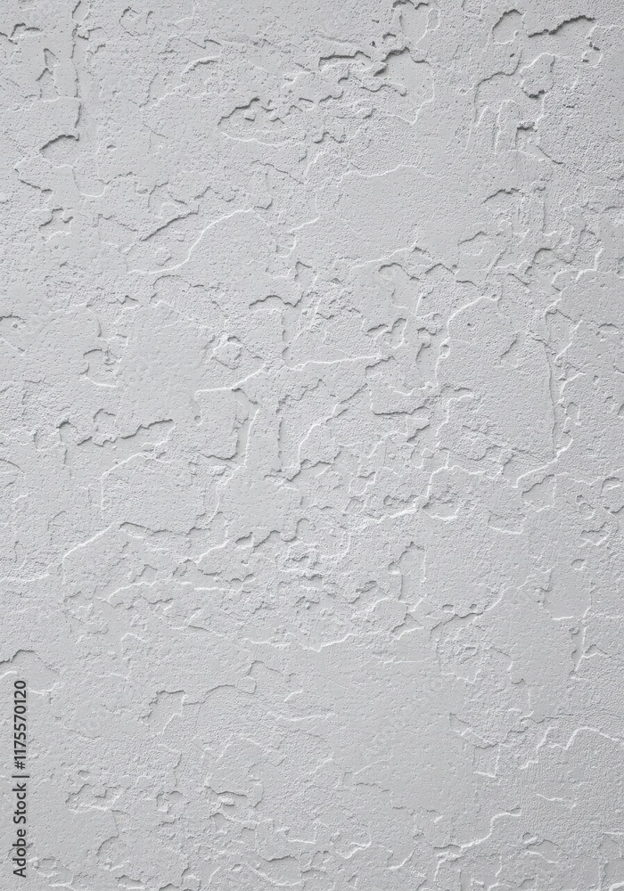 Obraz premium Light Gray Textured Wall Rough Stucco Surface Exterior Building Facade Architectural Detail