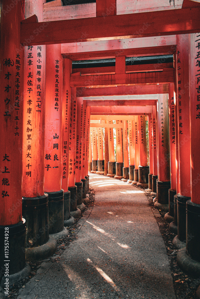 Fototapeta premium Fushimi-Inari Schrein, Kyoto