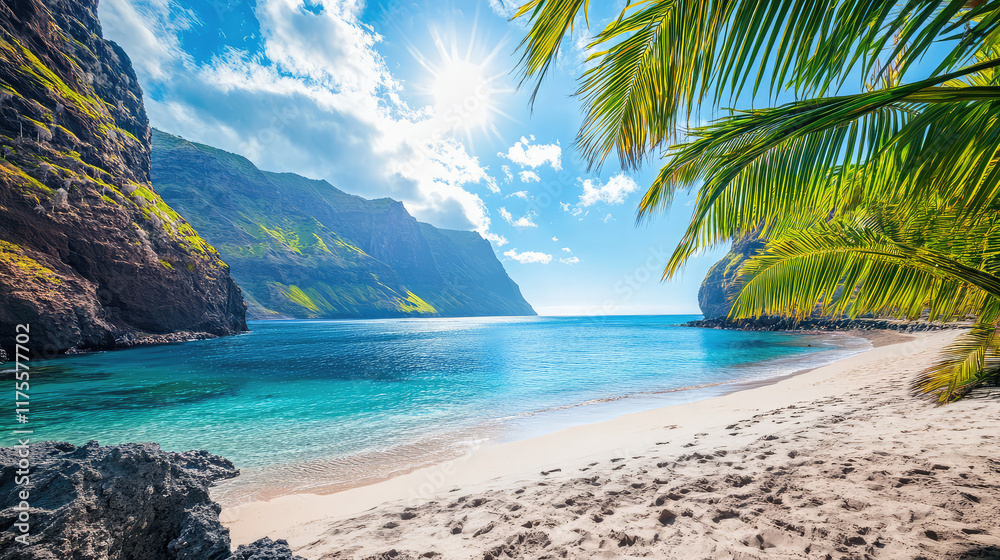 Naklejka premium beach with palm trees