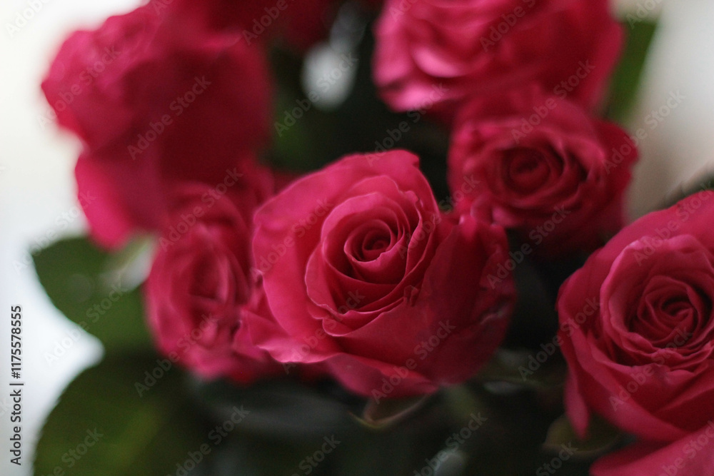 Red roses in beautiful bunch. stock photo. Love Red roses in beautiful bunch. stock photo. Love