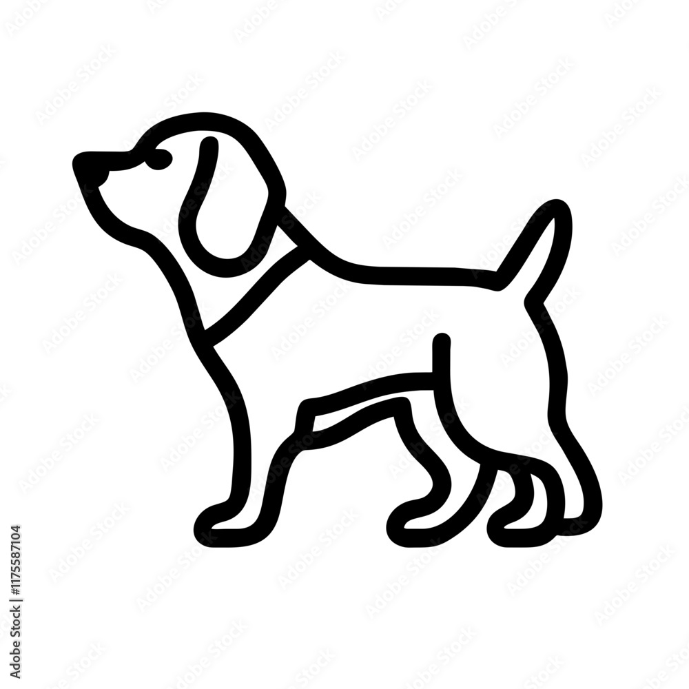 dog dog