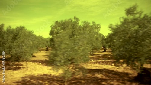 Olive Groves of Puglia: Scenic Train Journey Between Corato and Bari, Italy, 2024, 16:9 UHD