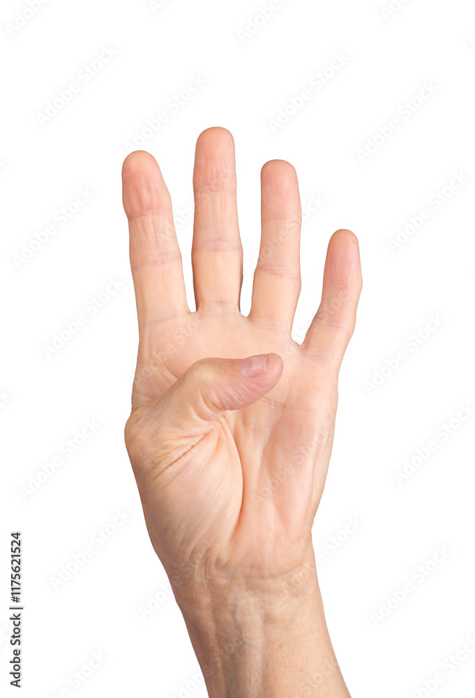 Four finger gesture. Senior Caucasian woman s wrinkled hand with four fingers raised, excluding the thumb, symbolizing the number four. Open palm in a side view, showcasing counting or signaling. Four finger gesture. Senior Caucasian woman s wrinkled hand with four fingers raised, excluding the thumb, symbolizing the number four. Open palm in a side view, showcasing counting or signaling.