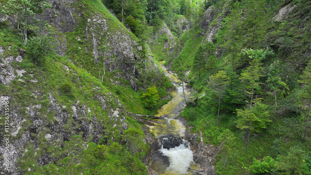 Gimbach Flusslauf mit grüner Vegetation und kleinem Wasserfall Gimbach Flusslauf mit grüner Vegetation und kleinem Wasserfall