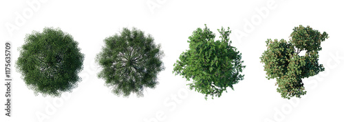 tree top view plant landscape architecture nature garden aerial render. trees branch isolate collection illustration environment green botany urban bush park. tree architecture conifer decorative.