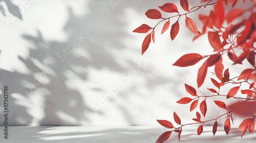 Studio backdrop with wall interior featuring leaf shadows in red and white tones, ideal for product placement and text insertion. 