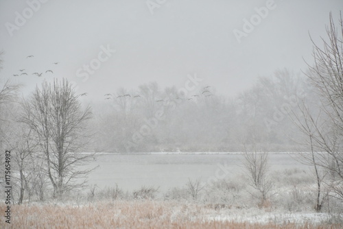 Wallpaper Mural Snowy Lake Torontodigital.ca