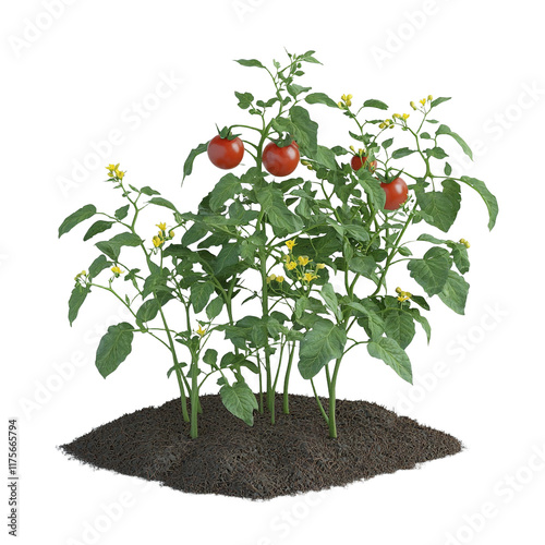 a plant with red flowers growing out of a pile of dirt PNG image, PNG file, Generative art.