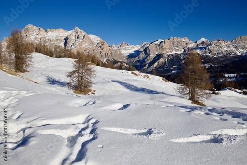 Dolomiti, Alta Badia paesaggio invernale photo