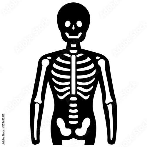 A human skeleton model silhouette vector icon illustration, skeleton on white background.