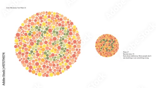 Color vision test, Color Blindness Test Plate 13, Ishihara, Plate 17, Normal view 73, Red_Green deficiency: Most people don't see anything or see something wrong.