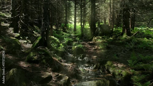A tranquil forest scene with sunlight filtering through dense pine trees, highlighting a flowing stream and lush mossy terrain.
