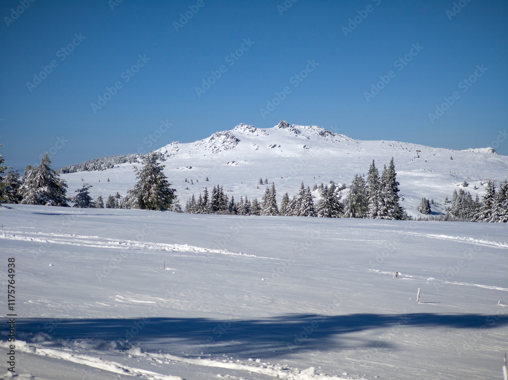Obraz premium Winter Panorama of Vitosha Mountain, Bulgaria