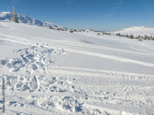 Winter Panorama of Vitosha Mountain, Bulgaria photo