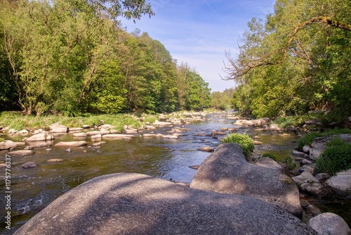 Beautiful morning with shining sun above the wild river Sazava in forest near Stvoridla, Czech republic