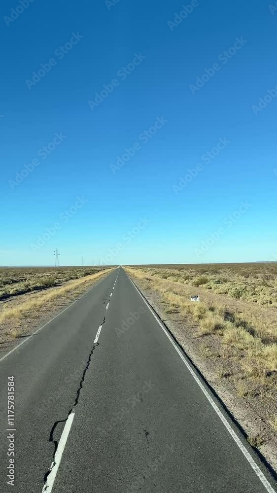 POV of driving along a lonely road through the pampa in Patagonia at sunset, Argentina POV of driving along a lonely road through the pampa in Patagonia at sunset, Argentina