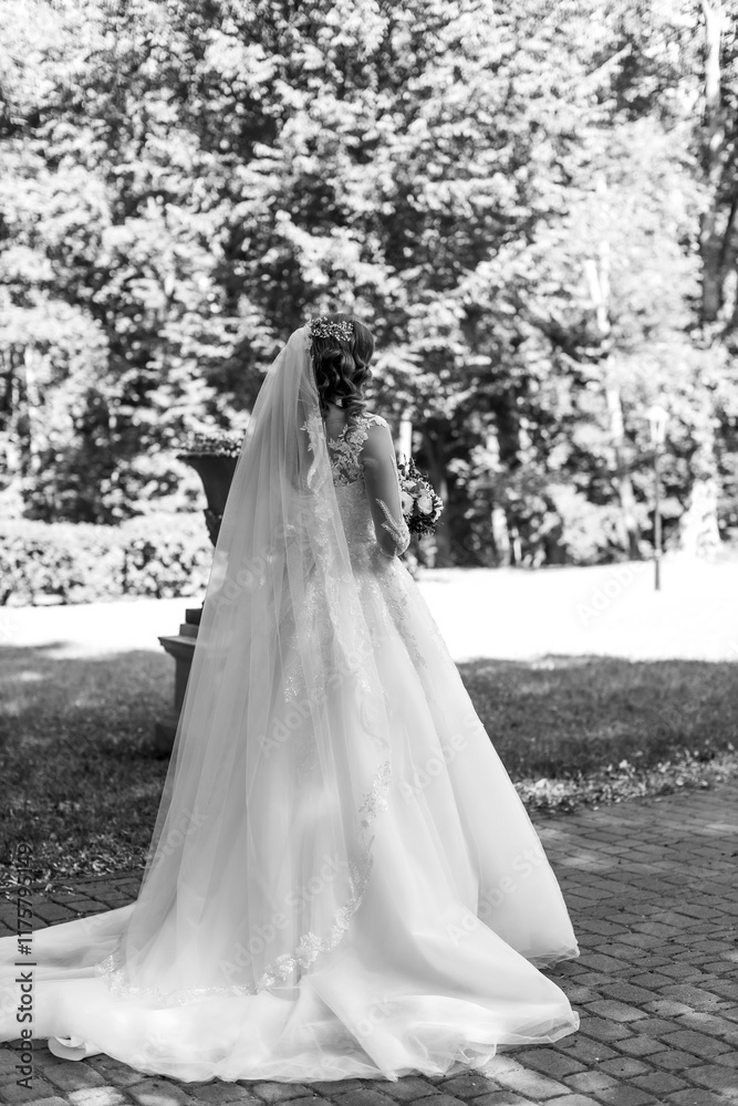 Gorgeus bride in a beautiful dress Gorgeus bride in a beautiful dress