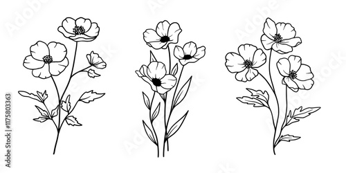 Set of flower arrangements. Hand drawn flowers set. Silhouette vector flat illustration. Outline drawing. Line vector illustration. Isolated on white background. Good for posters, t shirts, postcards.