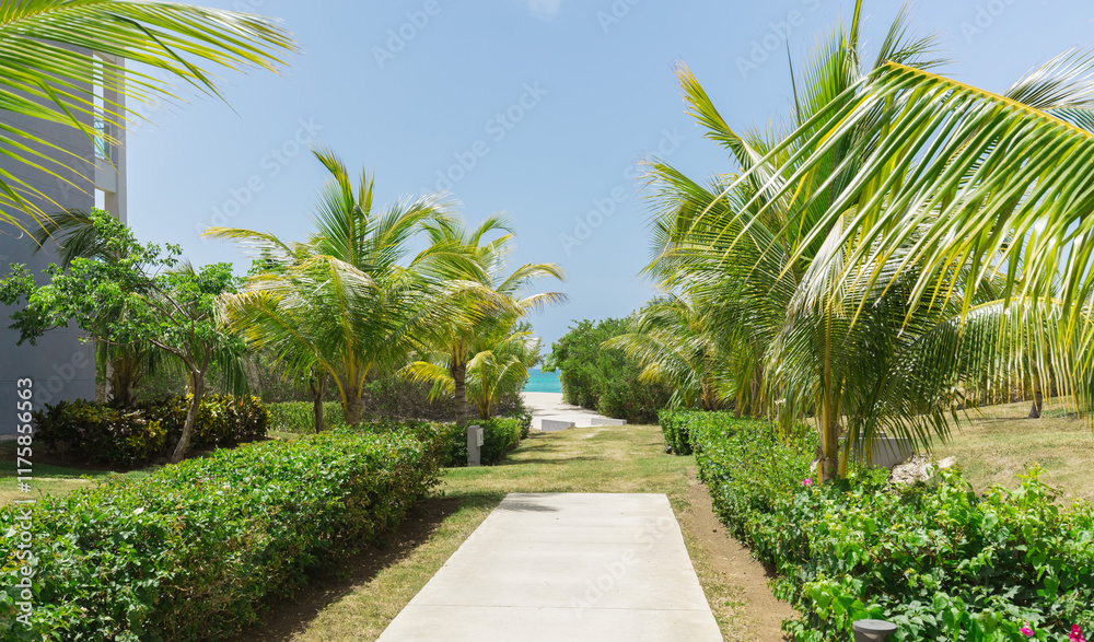 Gorgeous inviting path toward the beach and ocean through tropical garden on sunny beautiful day. Cayo Santa Maria,Cuba Gorgeous inviting path toward the beach and ocean through tropical garden on sunny beautiful day. Cayo Santa Maria,Cuba