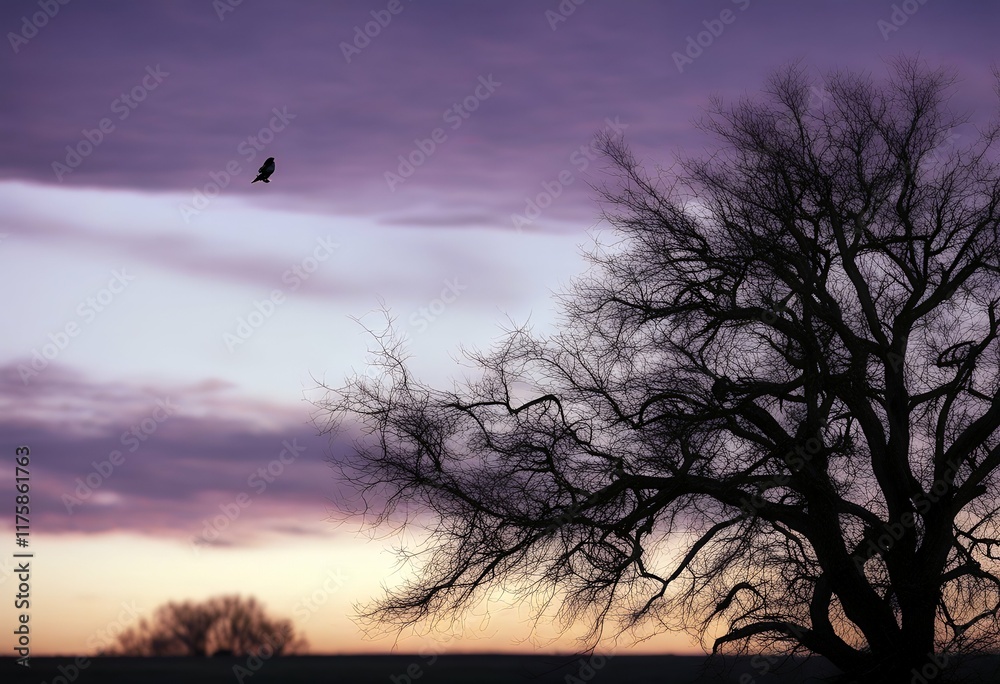 featuring soft high o purple sky silhouette hawk flying twilight plains featuring soft high o purple sky silhouette hawk flying twilight plains