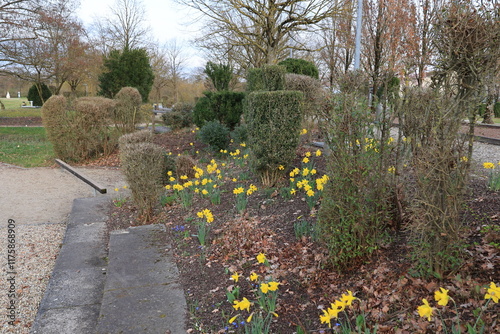 Blick in den neuen Kurpark von Bad Gögging in Bayern photo