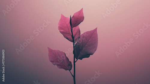 Subdued Beauty: Minimalist Aesthetic Wallpaper for a Zen Vibe