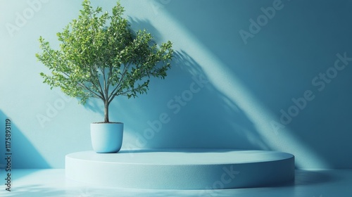 Minimalistic Plant Display