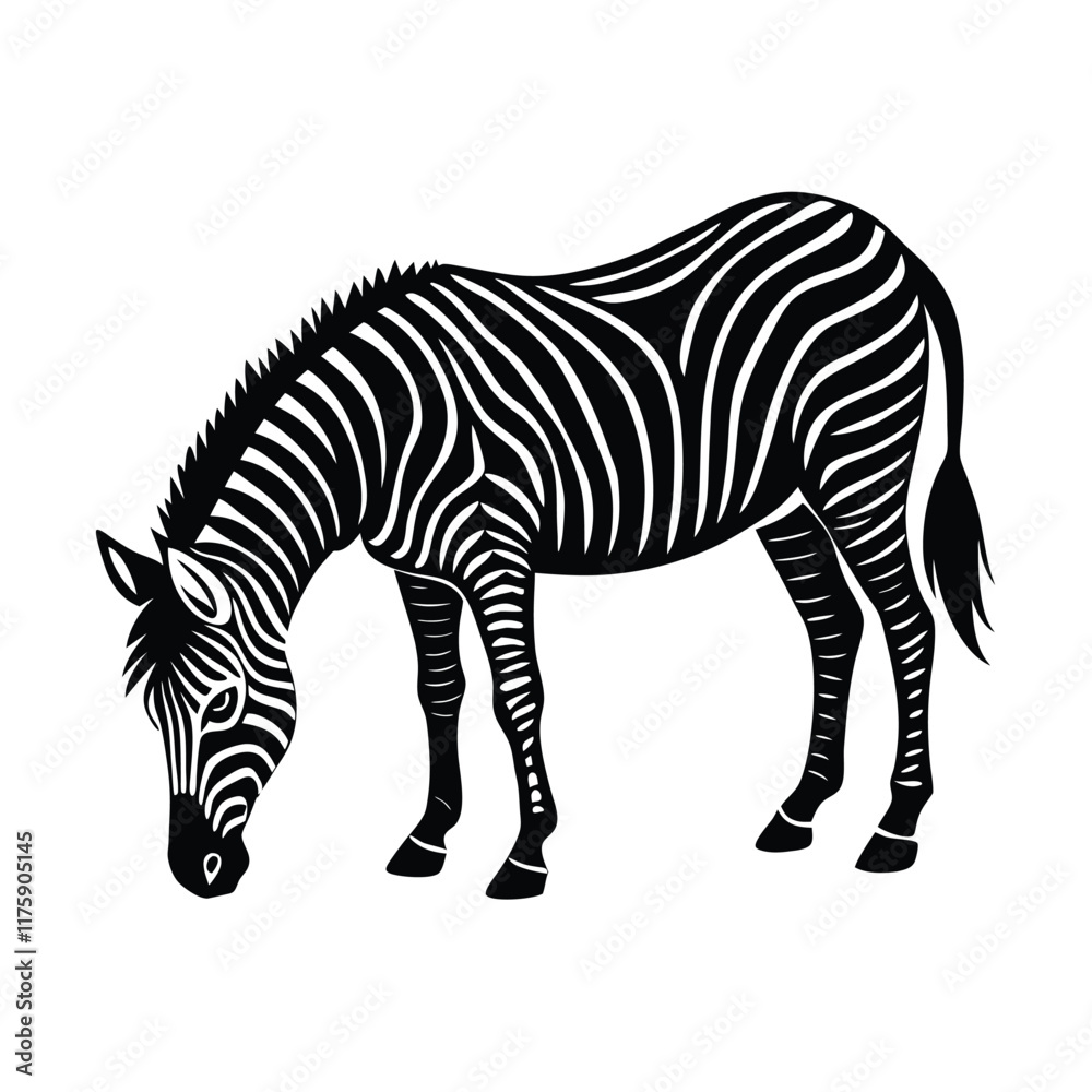 Fototapeta premium zebra isolated on white