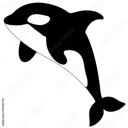 An illustration of an orca