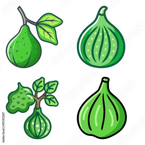 exotic green climbing fig high-quality vector bundle set ideal for menus, food and fruit concepts illustration.