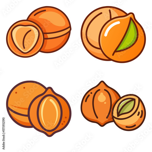 exotic orange macadamia nut high-quality vector bundle set ideal for menus, food and fruit concepts illustration.