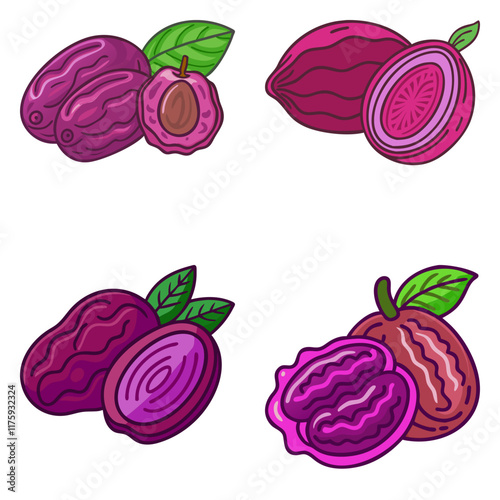 juicy purple sandalwood fruit high-quality vector bundle set ideal for menus, food and fruit concepts illustration.