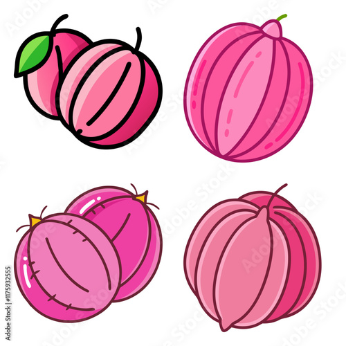 tropical pink malay gooseberry high-quality vector bundle set ideal for menus, food and fruit concepts illustration.