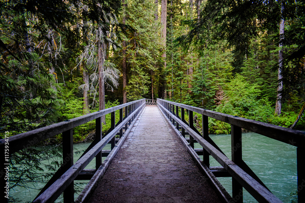 Bridge over glacial river, North Cascades National Park, Washington Bridge over glacial river, North Cascades National Park, Washington