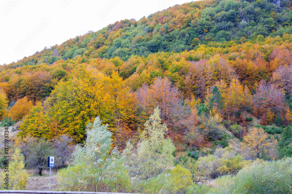 Bosco di Forca d'Acero in autunno. Mille colori in Abruzzo