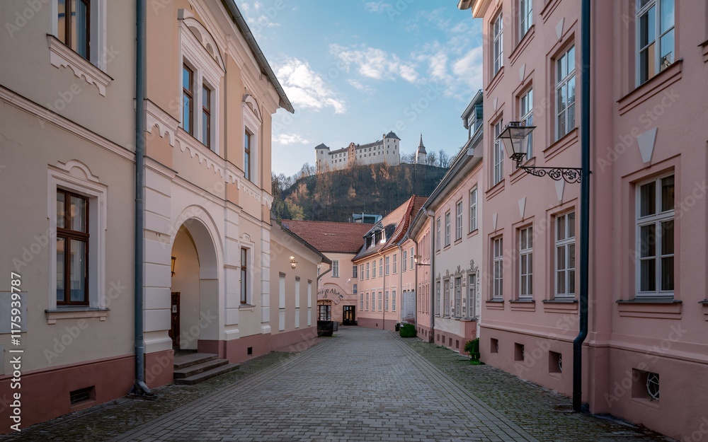 Fototapeta premium Historic Street in Heidelberg, Picturesque European alley with castle view.