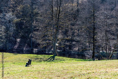 Samotna osoba na wiosennej polanie otoczonej drzewami, idealne miejsce do medytacji, relaksu i refleksji w ciszy natury photo