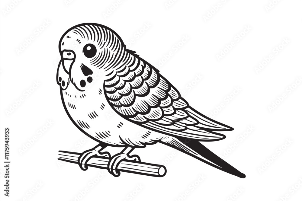 Fototapeta premium Line art of Budgerigar vector
