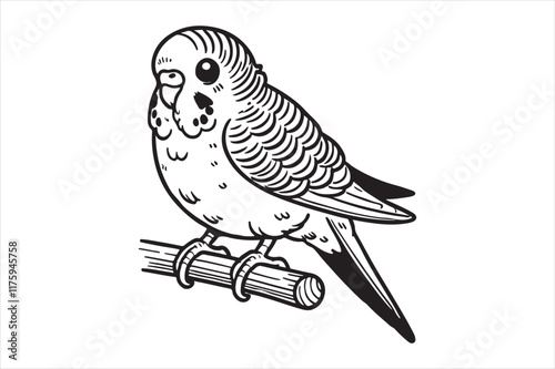 Line art of Budgerigar vector photo